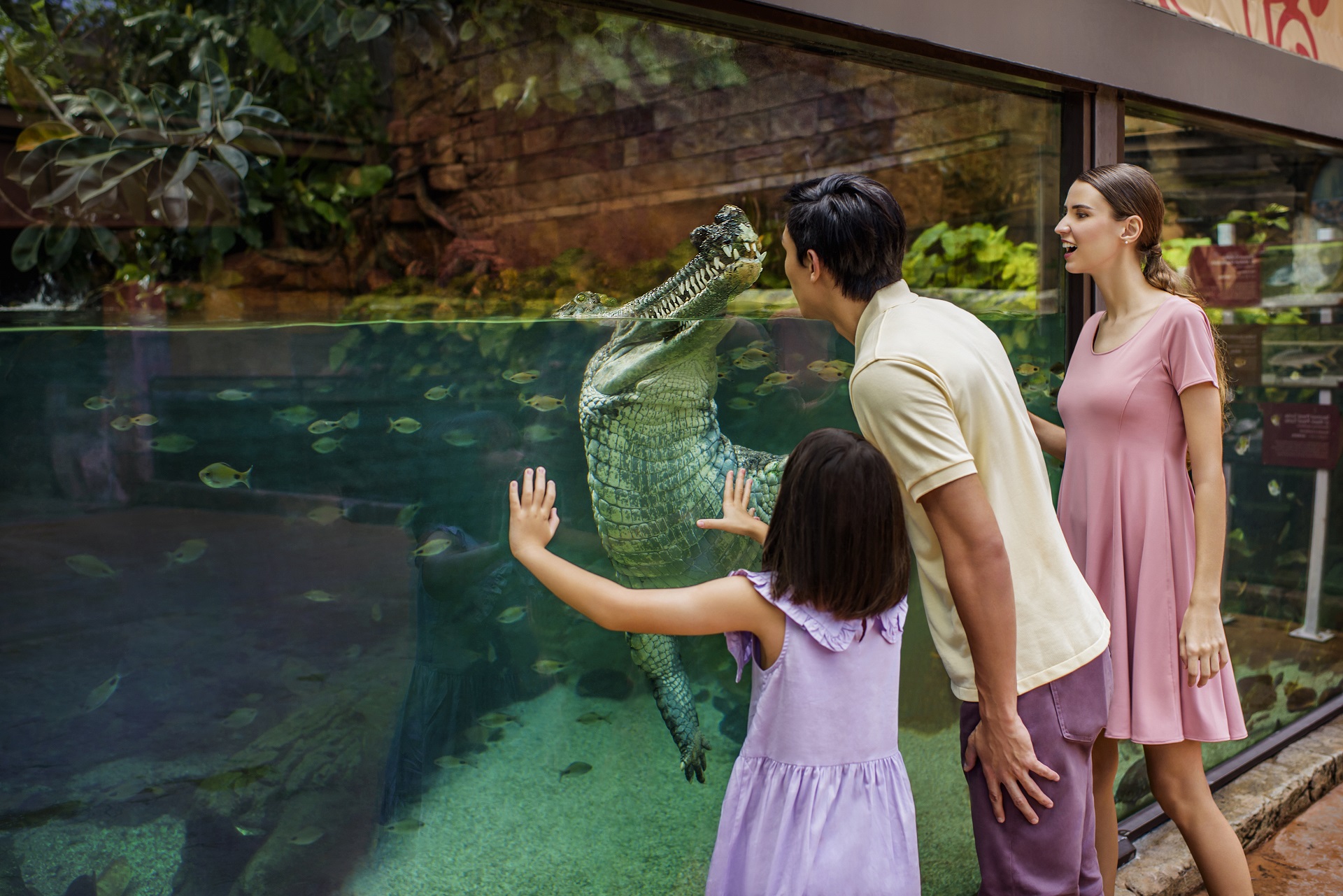 リバーワンダー到着